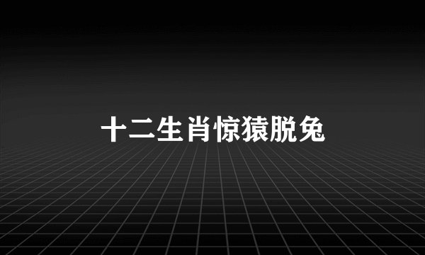 十二生肖惊猿脱兔