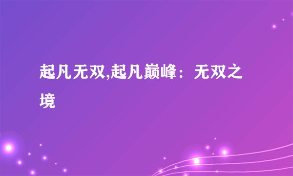 起凡无双,起凡巅峰：无双之境