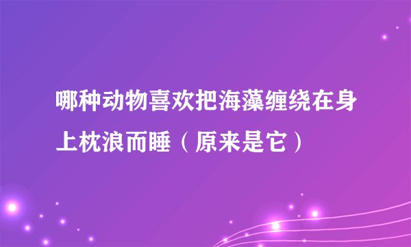 哪种动物喜欢把海藻缠绕在身上枕浪而睡（原来是它）