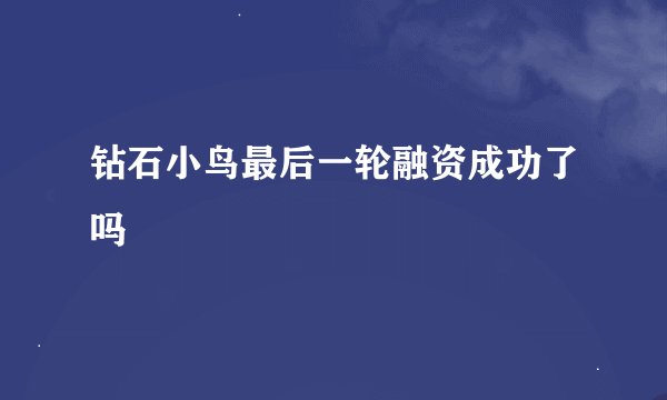 钻石小鸟最后一轮融资成功了吗