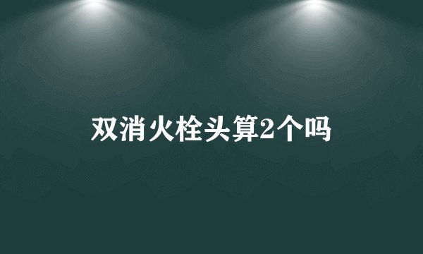双消火栓头算2个吗