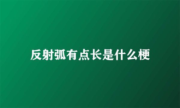 反射弧有点长是什么梗