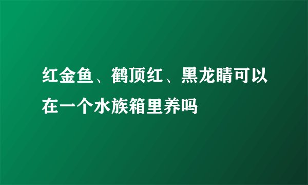 红金鱼、鹤顶红、黑龙睛可以在一个水族箱里养吗