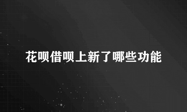 花呗借呗上新了哪些功能