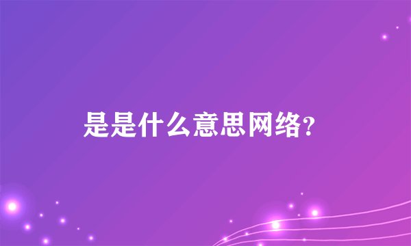 是是什么意思网络？