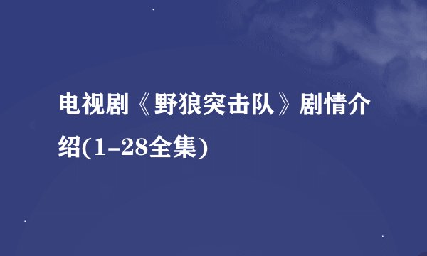 电视剧《野狼突击队》剧情介绍(1-28全集)