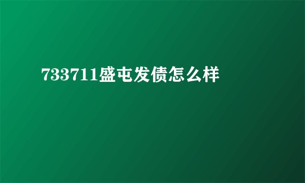 733711盛屯发债怎么样