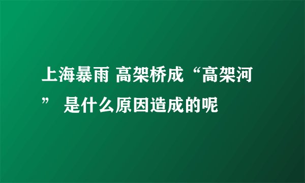 上海暴雨 高架桥成“高架河” 是什么原因造成的呢