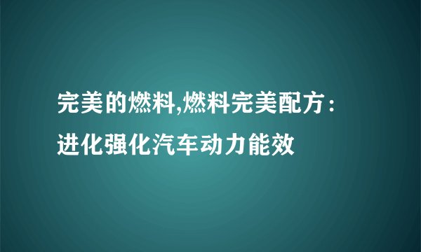 完美的燃料,燃料完美配方：进化强化汽车动力能效