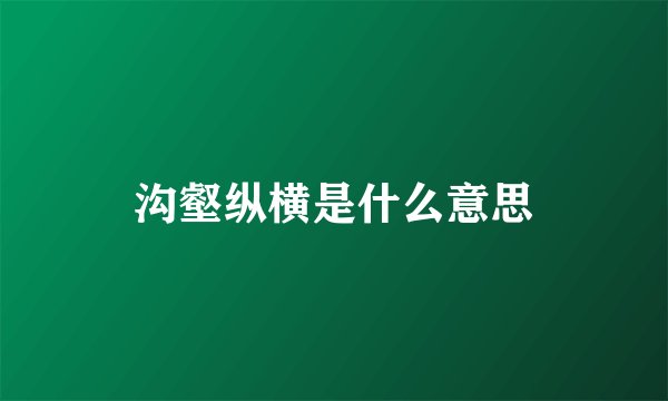沟壑纵横是什么意思