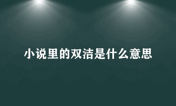 小说里的双洁是什么意思