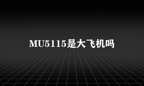 MU5115是大飞机吗