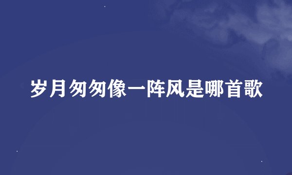 岁月匆匆像一阵风是哪首歌