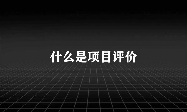 什么是项目评价