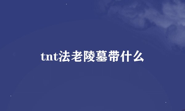 tnt法老陵墓带什么