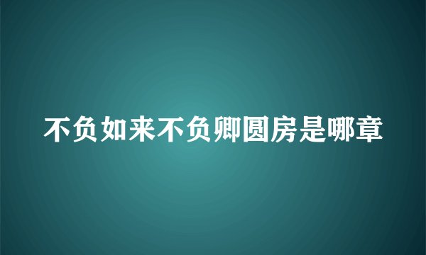 不负如来不负卿圆房是哪章