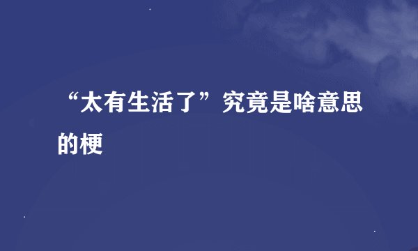 “太有生活了”究竟是啥意思的梗