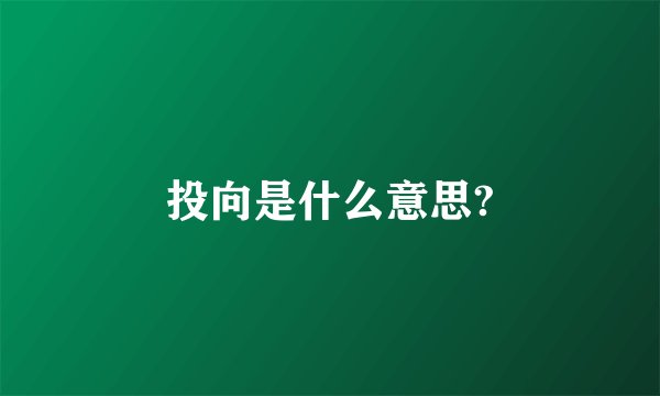投向是什么意思?