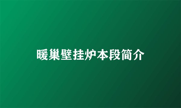暖巢壁挂炉本段简介