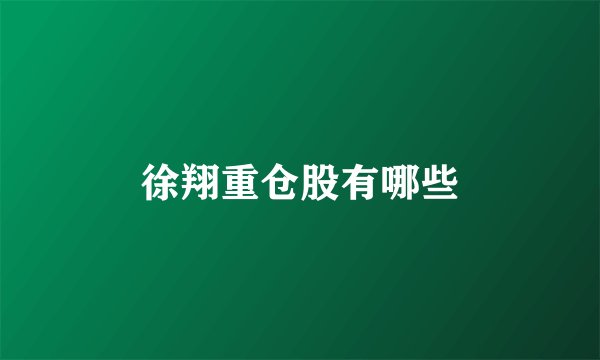 徐翔重仓股有哪些