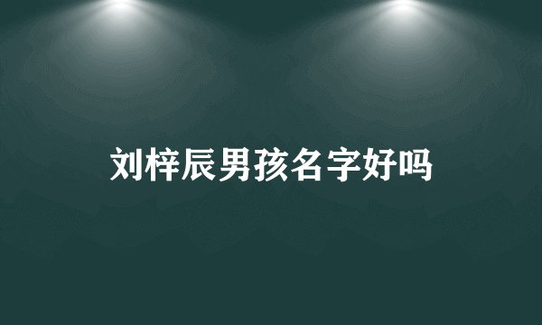 刘梓辰男孩名字好吗