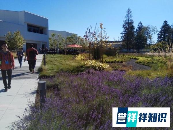 探营乐视北美总部：在硅谷快速奔跑扩张LeEco