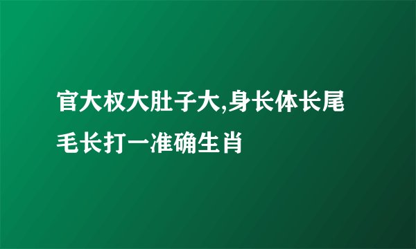 官大权大肚子大,身长体长尾毛长打一准确生肖