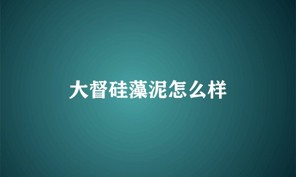 大督硅藻泥怎么样