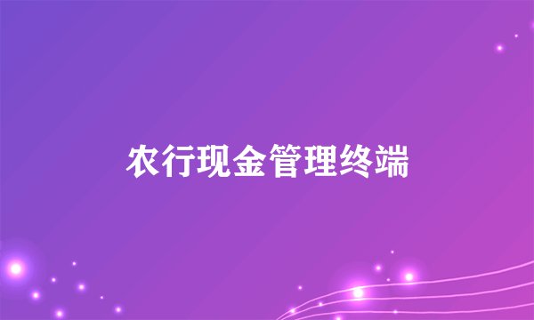 农行现金管理终端