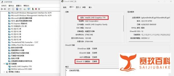 为什么我的DirecX 12 旗舰版显示为“已禁用”状态？