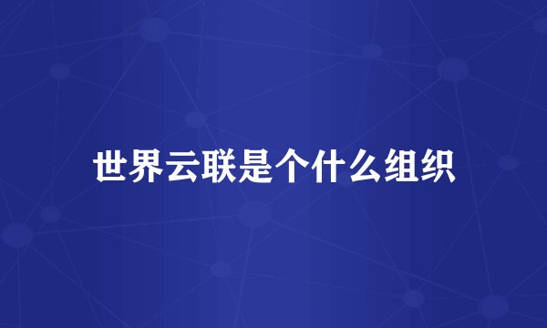 世界云联是个什么组织