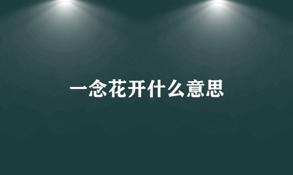 一念花开什么意思