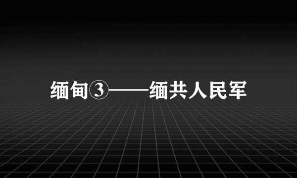 缅甸③——缅共人民军