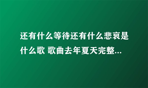 还有什么等待还有什么悲哀是什么歌 歌曲去年夏天完整歌词介绍