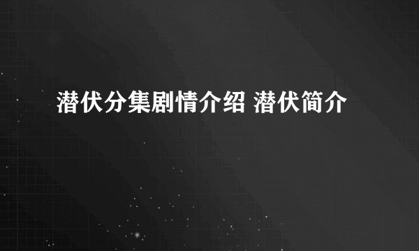 潜伏分集剧情介绍 潜伏简介
