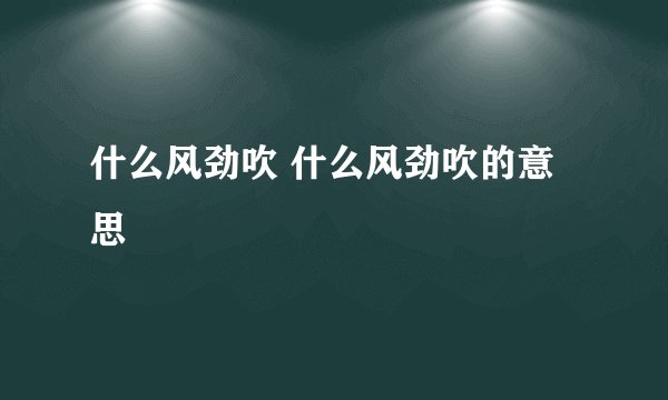 什么风劲吹 什么风劲吹的意思