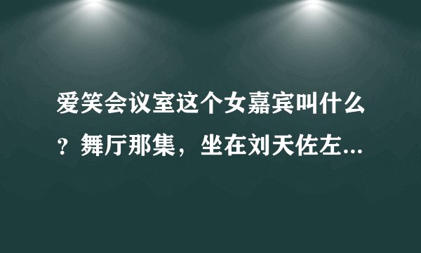 爱笑会议室这个女嘉宾叫什么？舞厅那集，坐在刘天佐左手边，穿了一个低胸衣服的美女，长发。感谢！