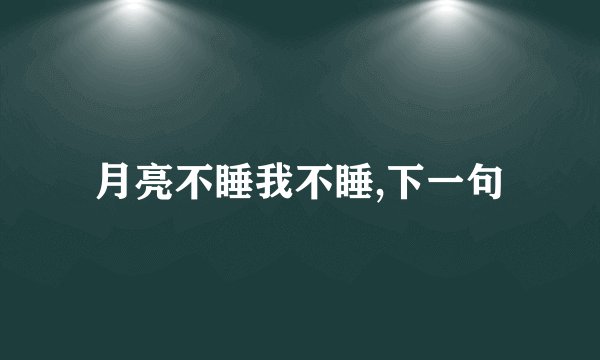 月亮不睡我不睡,下一句