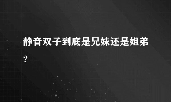 静音双子到底是兄妹还是姐弟？