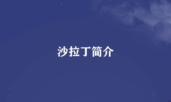 沙拉丁简介