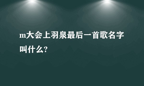 m大会上羽泉最后一首歌名字叫什么?