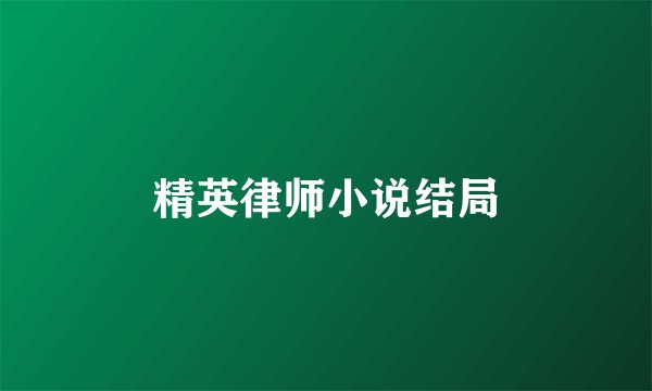 精英律师小说结局