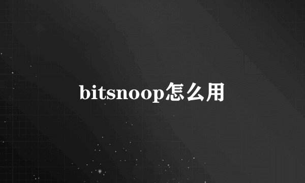 bitsnoop怎么用
