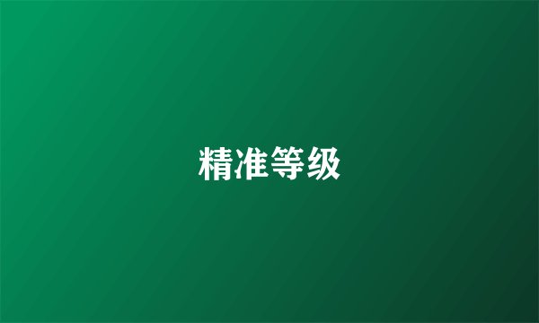 精准等级