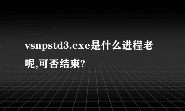 vsnpstd3.exe是什么进程老呢,可否结束?