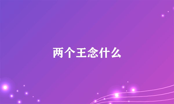 两个王念什么