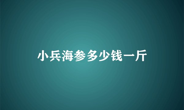 小兵海参多少钱一斤