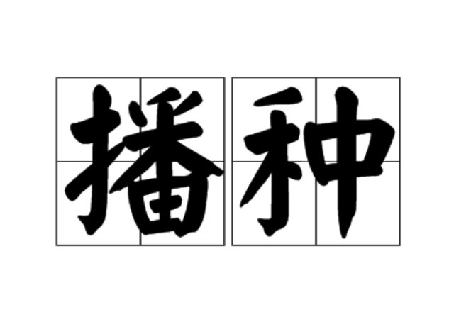 播种是什么意思?