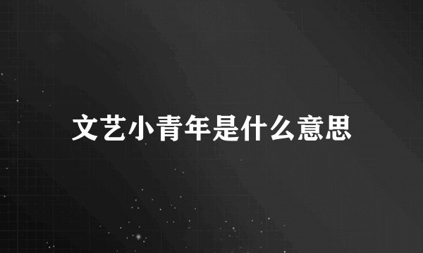 文艺小青年是什么意思