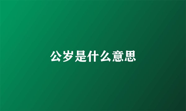公岁是什么意思